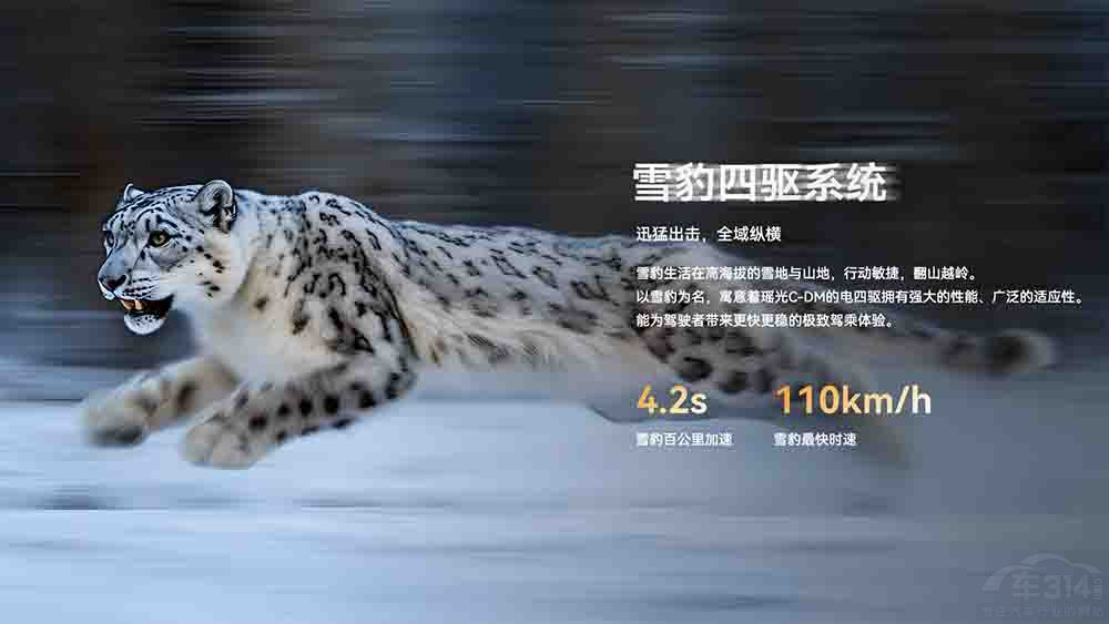 ;C-DM(q)15.99f