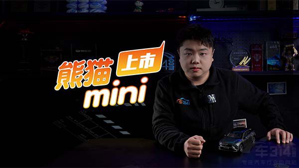 l(f)΢܇(ch) ؈miniD