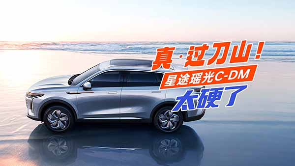 桤^ɽ;C-DM@Ҳ̫Ӳ