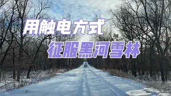  ID.4X |늷ʽںѩ