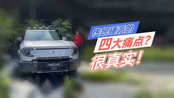 y(tng)ӲɵĴʹc(din){(ln)G318