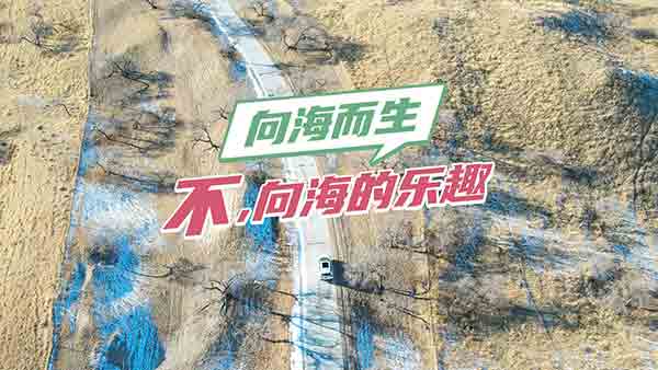 ȥ__{I(lng)ԄeL(fng)