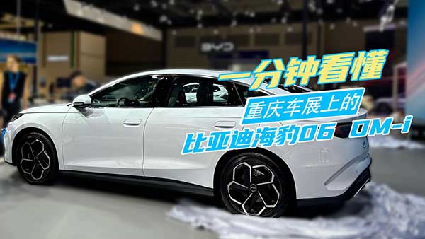 һ犿܇չϵıȁϺ06 DM-i