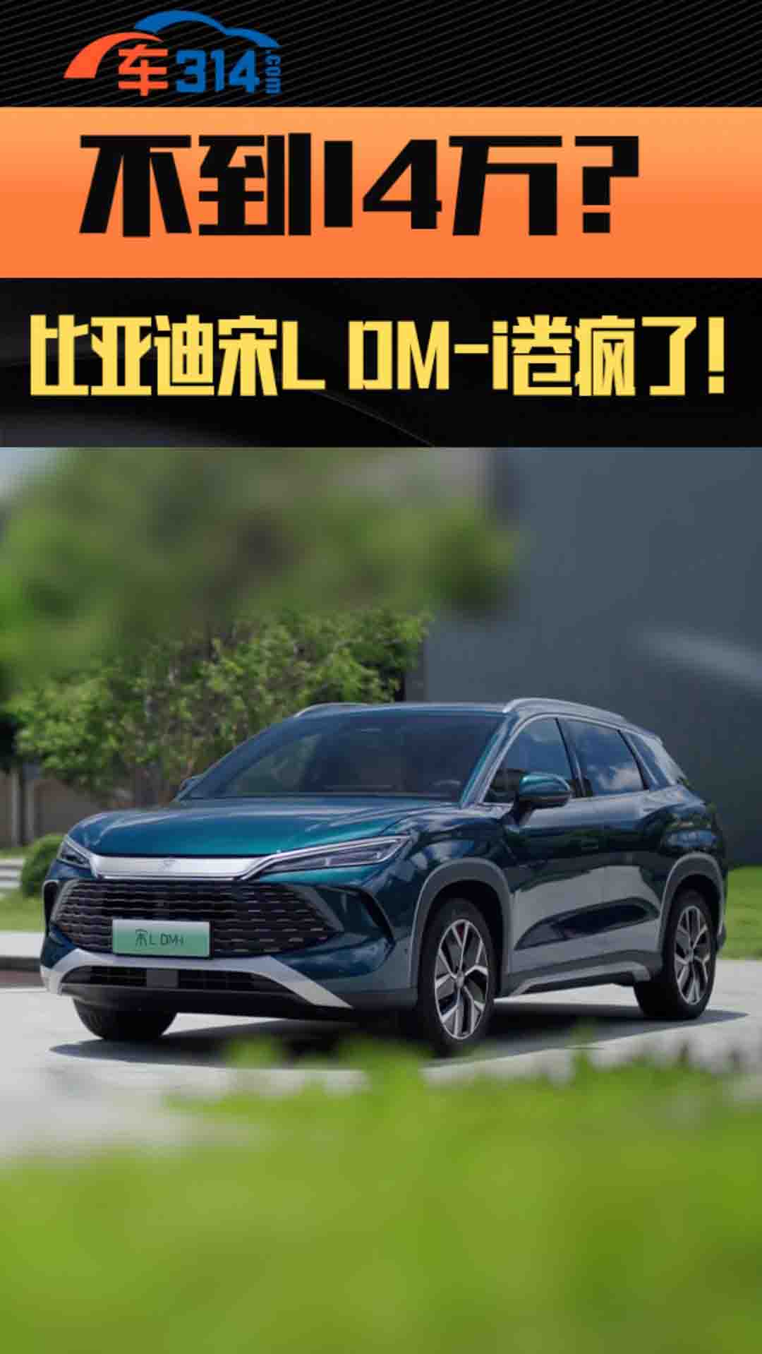 14fȁL DM-iľ