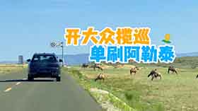 һL(zhng)y(c)Day5_󱊔Ѳˢ̩