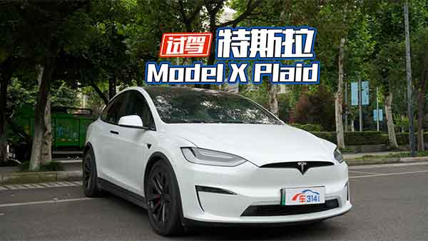 ԇ{Model X Plaid YokePw