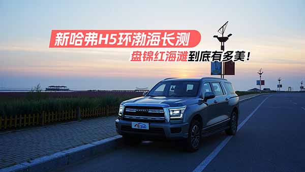 ¹H5L(zhng)y(c) @݅ȥ˱P\tֵ