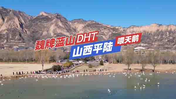 _κ{(ln)ɽDHTȥɽƽꑿZ