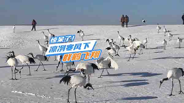 CL(fng)µ ȺQw҂@