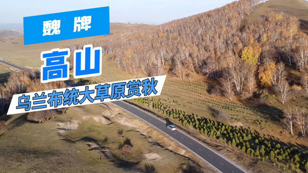 my(tng)p·ָܿ κƸɽ