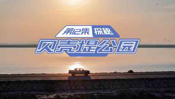 L(zhng)CL(zhng)y(c)12 ̽؞I̹ؐ@