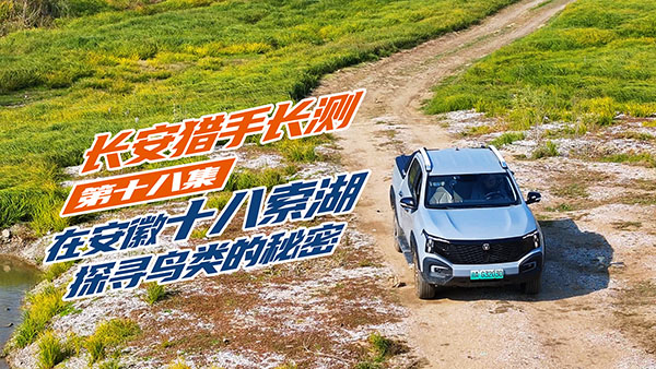 L(zhng)CL(zhng)y(c)ʮ˼̽B