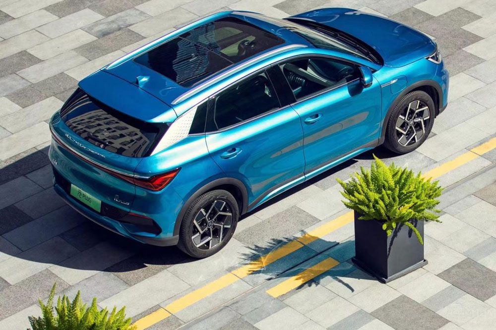 ԪPLUSAION Y  ߵԓôx