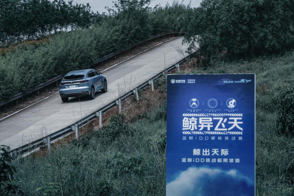 @(dn)(dng)ɫ Lƶ(xing)ُ܇a(b)Nʩ