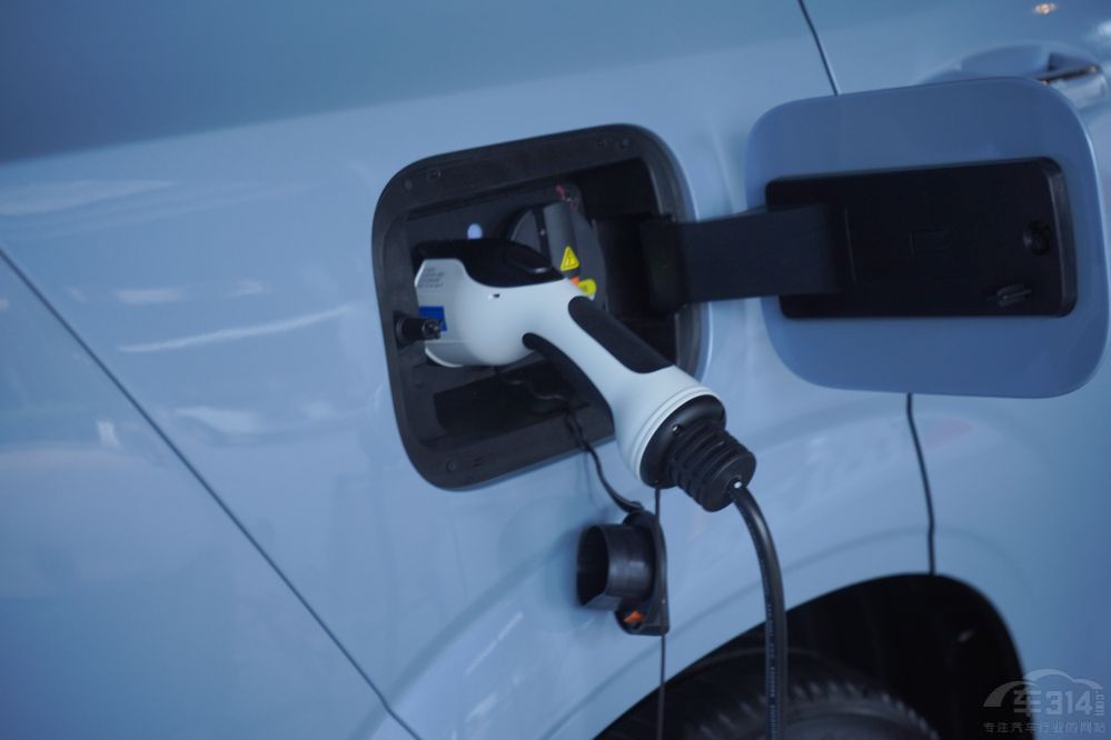 8 PLUSHie+LWZ6 iDD 