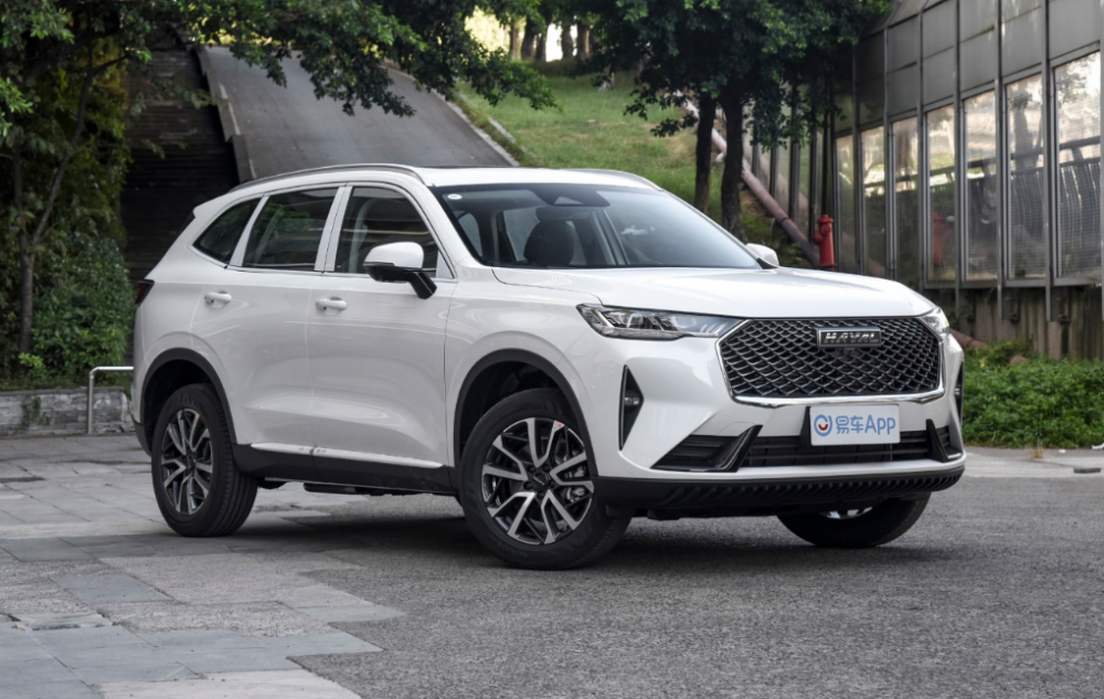 Pݻ(dng)(du)ȹH6 DHT /