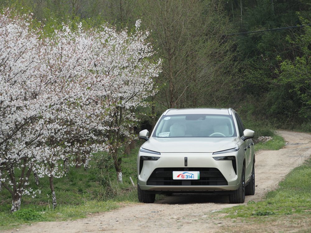 {(ln)ɽDHT-PHEVI(lng) ذSUVu