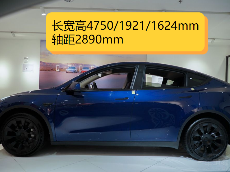 СiG6˹Model YЄ