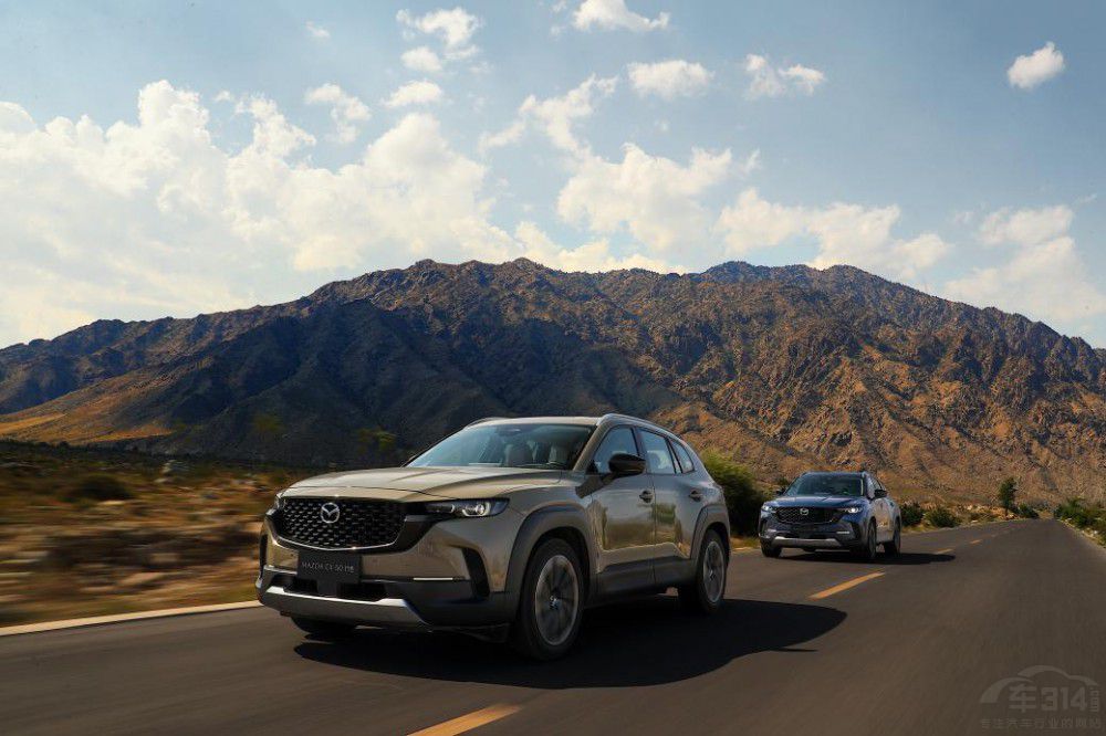 ̽z·Ļ R_(d)CX-50ҲYGy