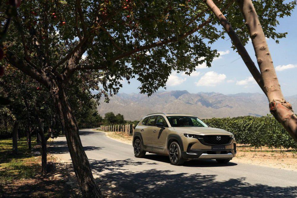 ̽z·Ļ R_(d)CX-50ҲYGy