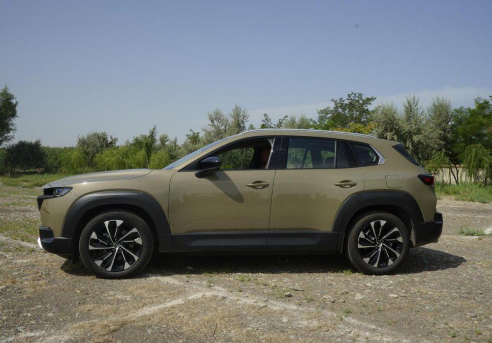 R_(d)CX-50ҲжӲִѽ