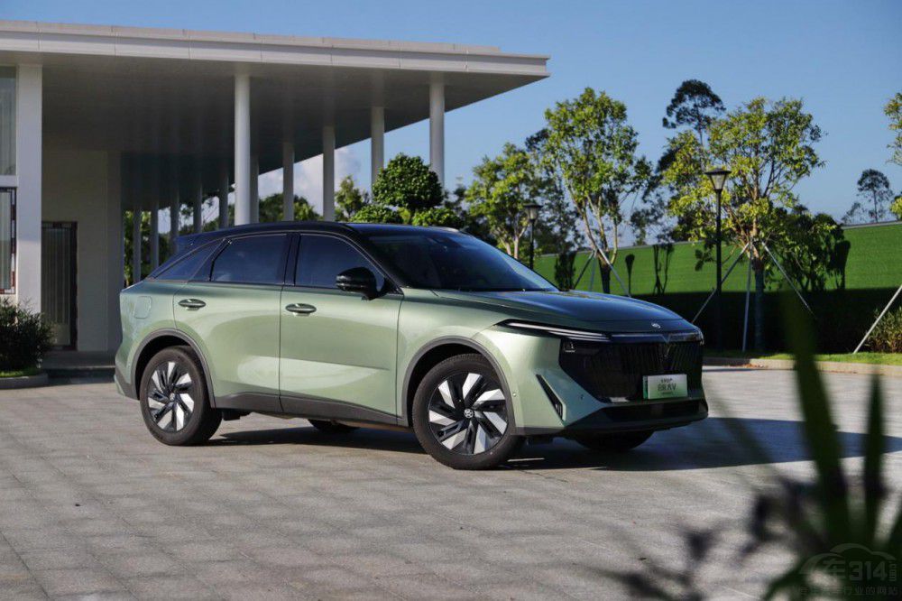 (du)Pro DM-i V DD-iֵһ