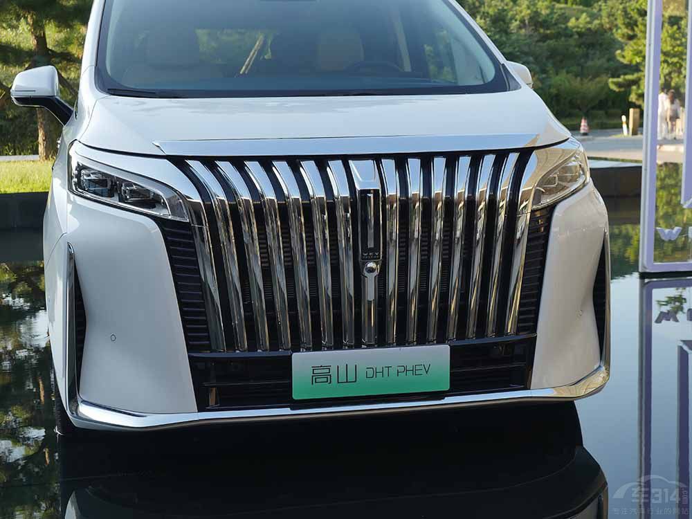 L(zhng)κƸɽDHT-PHEV(du)v(sh)D9 DM-i