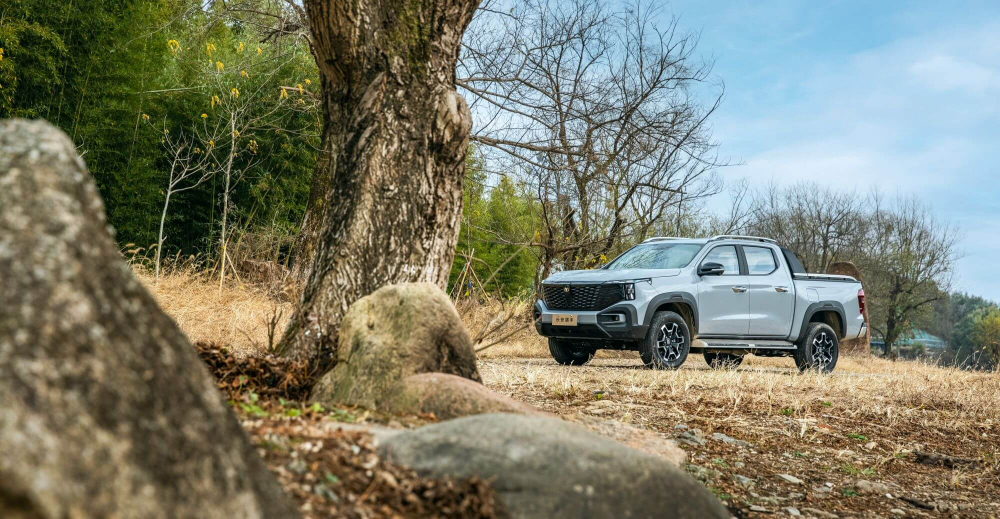 m{εƤL(zhng)Cܰȫ  