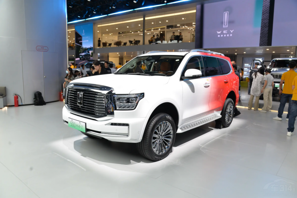 2024ѺAԽҰ܇(hu)Ͷol