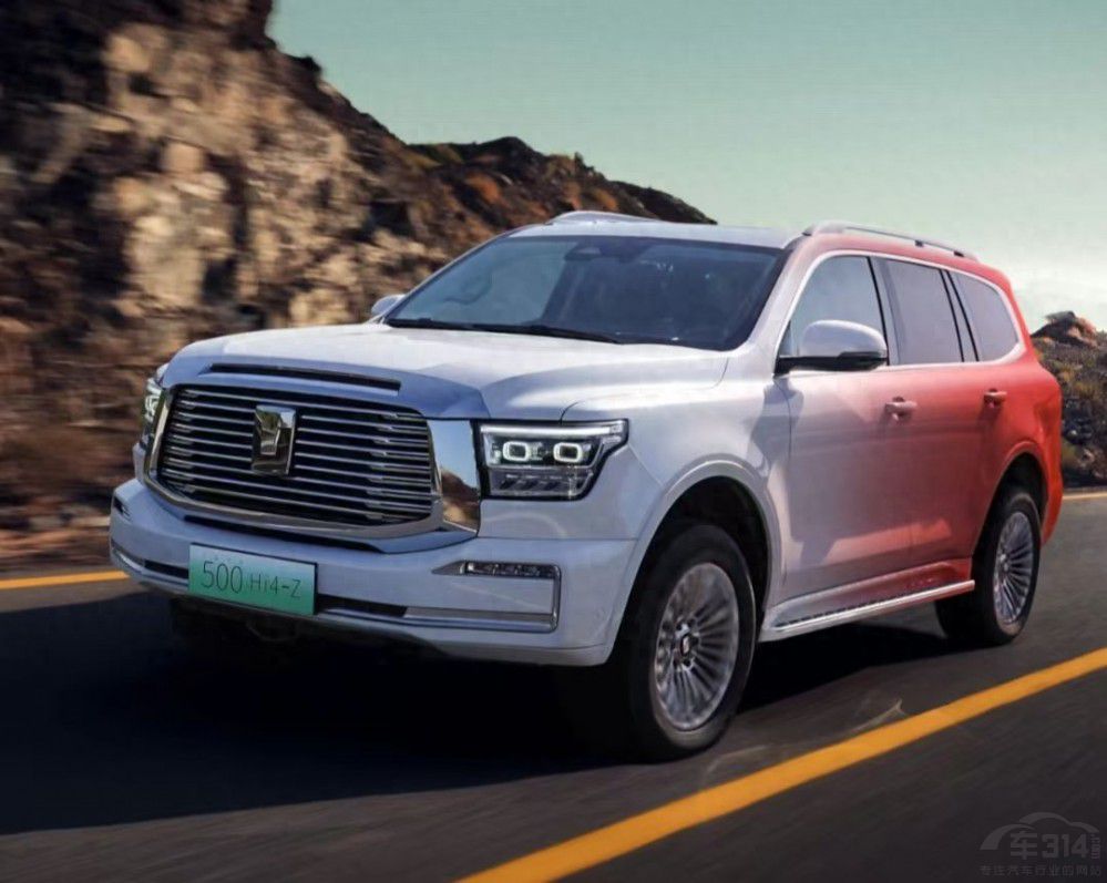 30f(wn)(j)AӲԽҰ Щ컨弉(j)܇