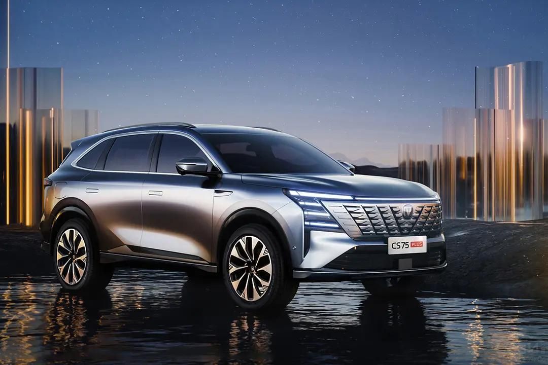 uL(zhng)L(zhng)pЉ