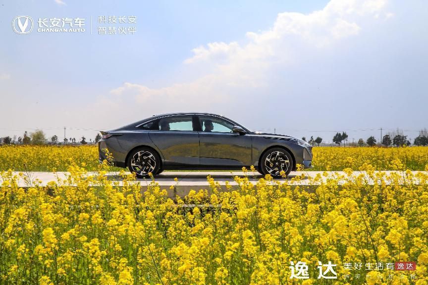 _A(y)ۃr  8.99fԪF(xin)