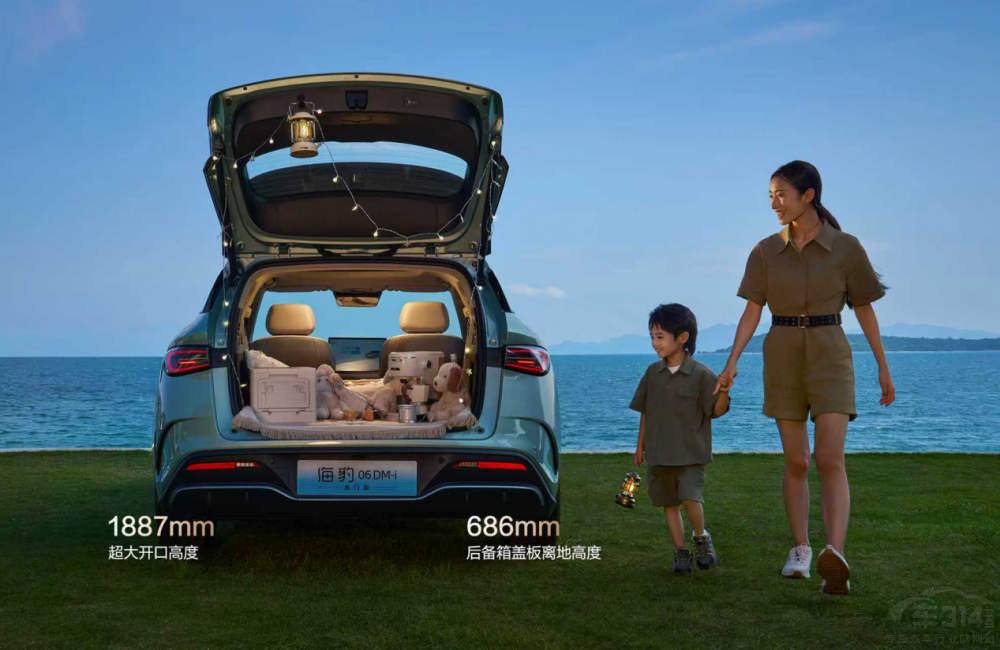 ȁϺ06DM-iа10.98f