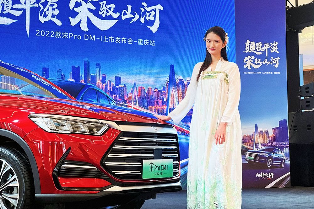 2022Pro DM-iؑc^(q) ܇ϲᣡ