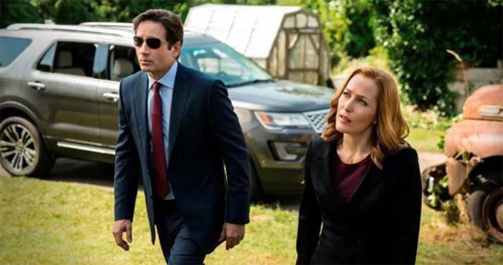 參演3000多部電影 探險者才是“老戲骨” 參演3000多部電影 探險者才是“老戲骨”