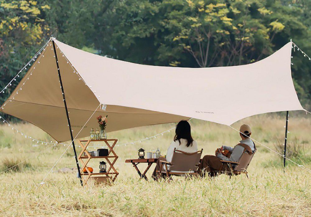 Ȥ¶I(yng)궼ʲôҪ