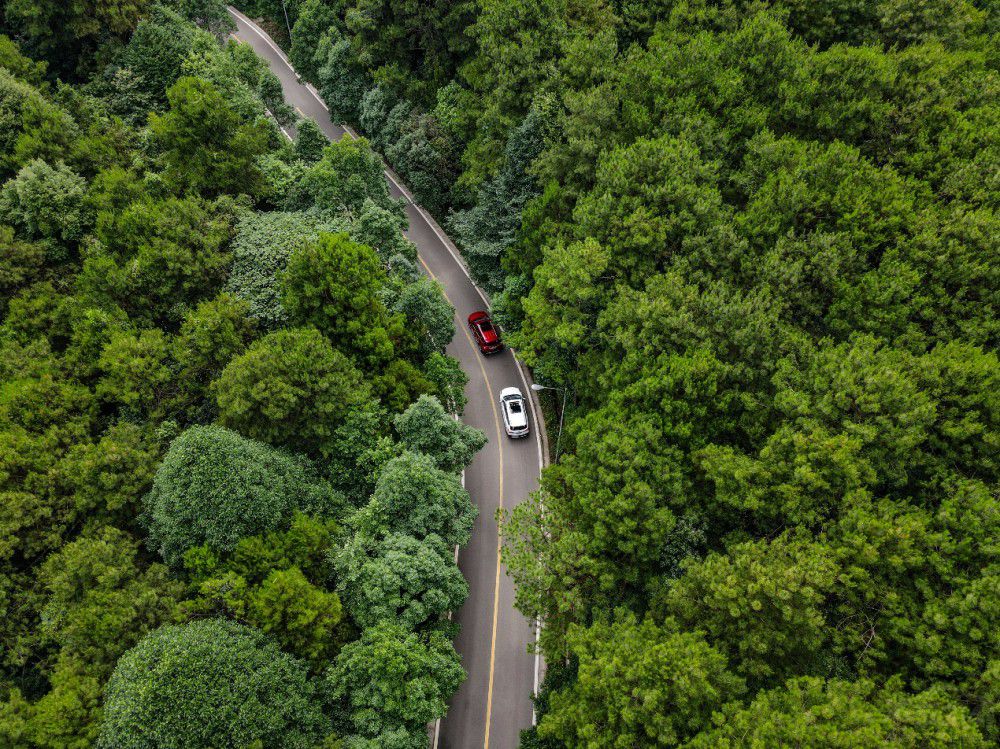 穿梭在林間秘境 北汽瑞翔X3一起縱擎添彩 穿梭在林間秘境 北汽瑞翔X3一起縱擎添彩