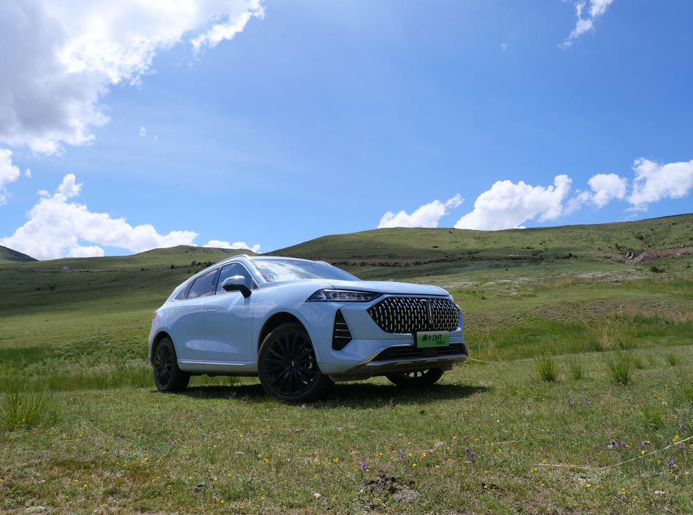 L{(ln)ֵ͌ĲsN(g)ġ