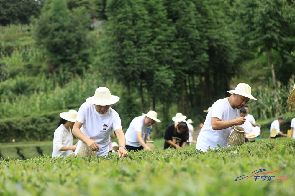 һSSRSӋ(j)r(nng)֮ÆĻ