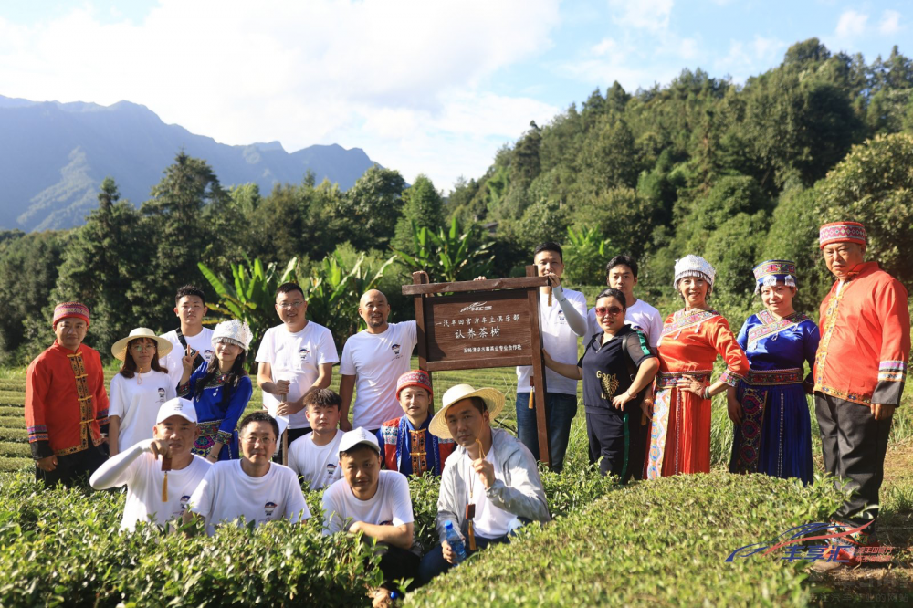 һSSRSӋ(j)r(nng)֮ÆĻ