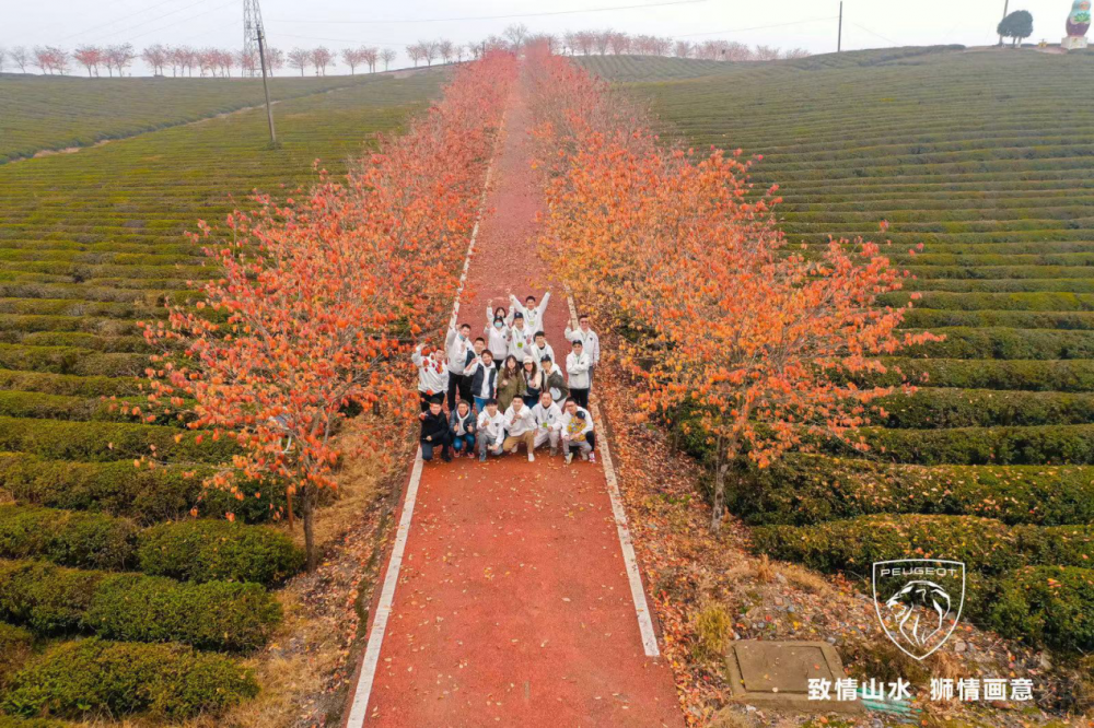 |L(fng)(bio)«@ȫ(gu)ׄ(chung)w+ِшF(tun)(du)(jing)