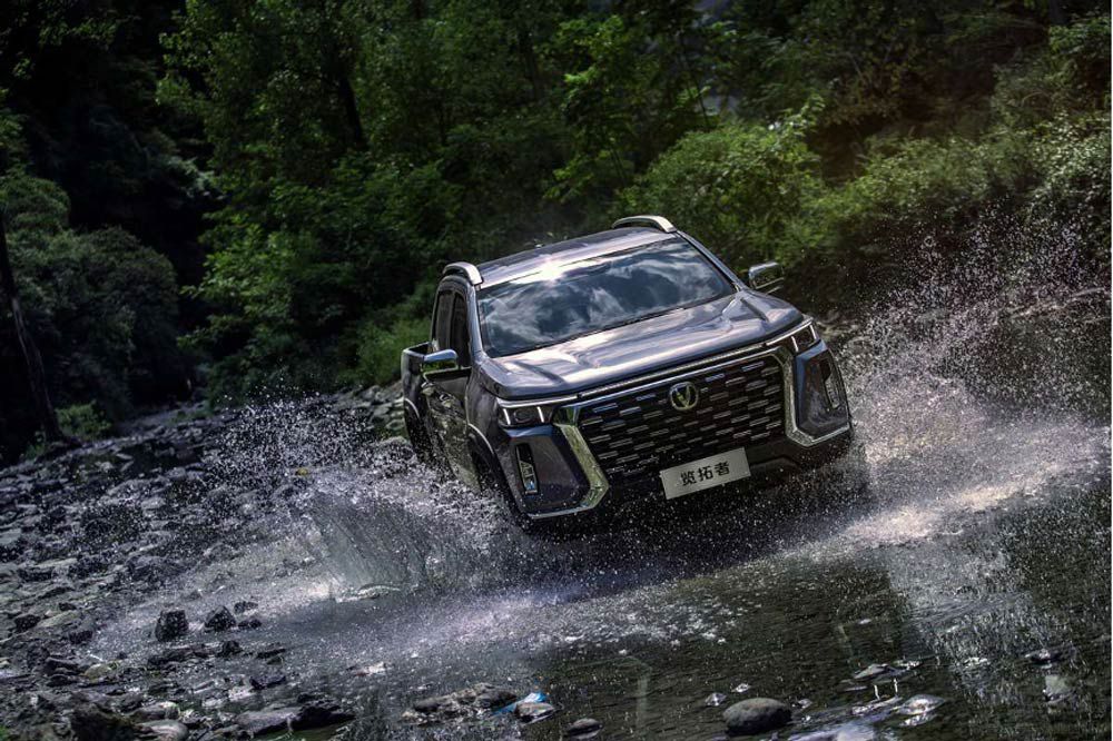 L(zhng)L(zhng)ǡƤ L(fng)ѳ