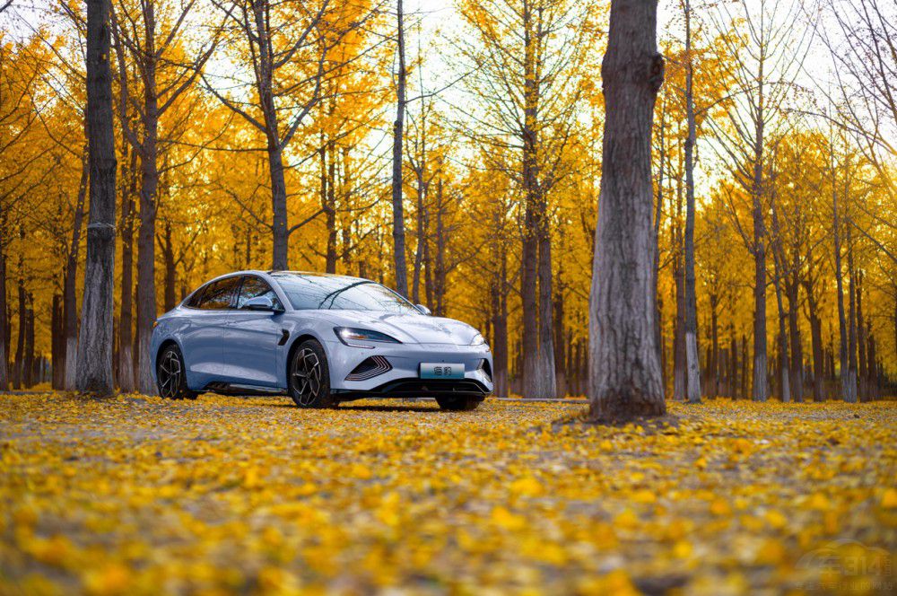 y sC-NCAPǰȫu(png)r(ji)