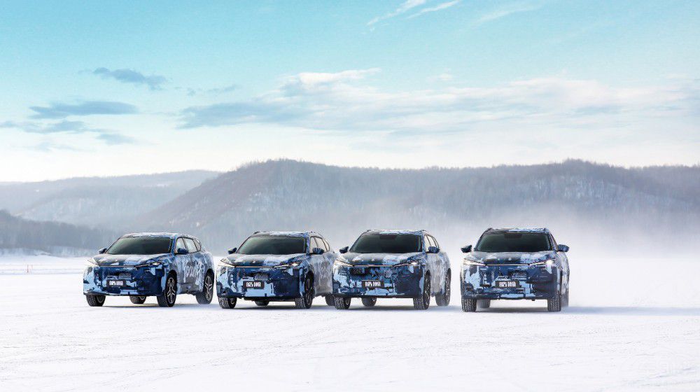 |L(fng)L(fng)pa(chn)ƷϷŴ 嫁