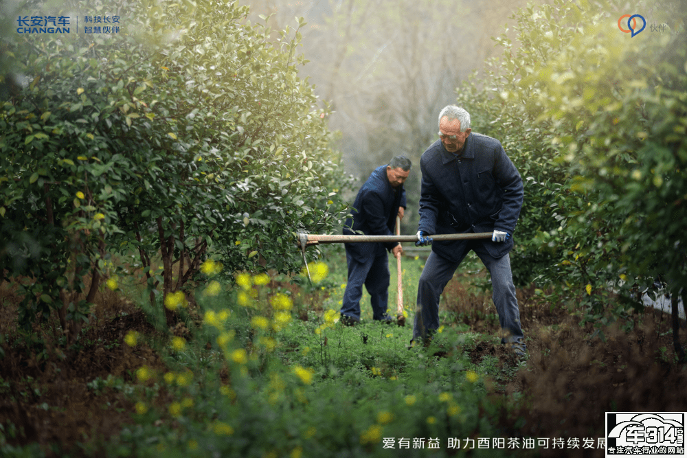 愛有新益 長安幫扶酉陽跨界新公益再進(jìn)階 愛有新益 長安幫扶酉陽跨界新公益再進(jìn)階