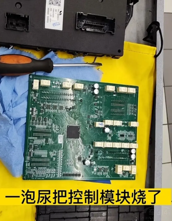 備受爭議的三大造車新勢力 銷量還不低! 備受爭議的三大造車新勢力 銷量還不低!