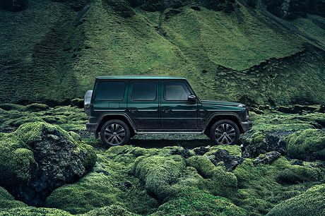 YGLSQ(bio)Ͳ30f l܂