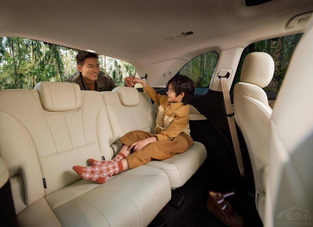 p塱{(ln)ɽDHT-PHEVL8