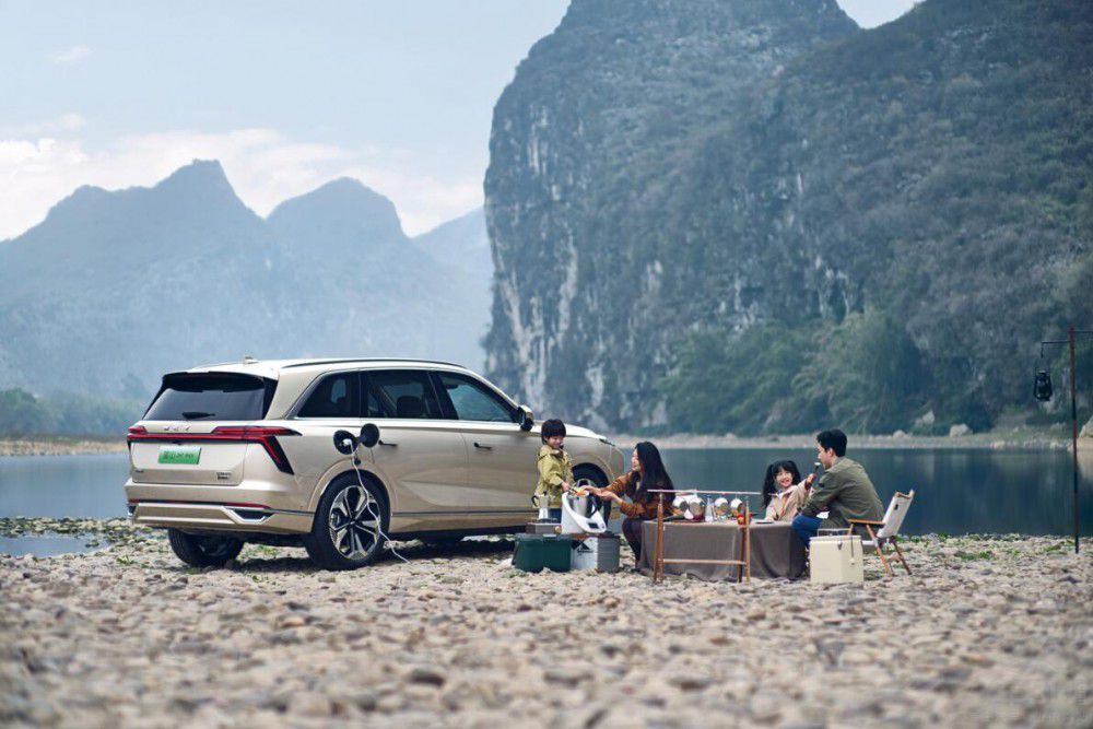 p塱{(ln)ɽDHT-PHEVL8