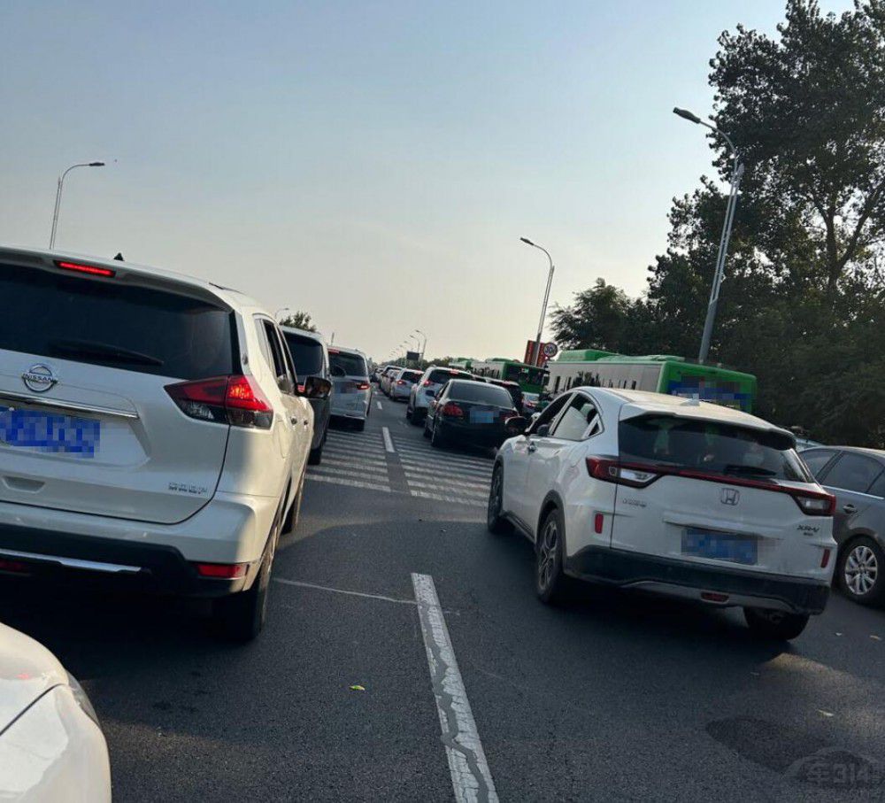 ʮһ·ϵġ (g)(g)Ϥ